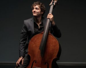 All About That Bass